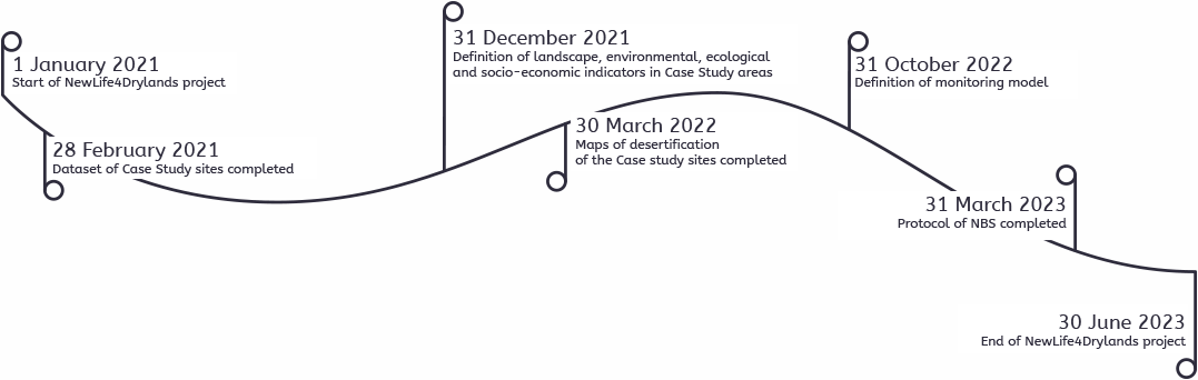 timeline-2